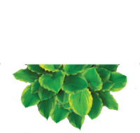 Antonia Tombari